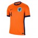 Niederlande Virgil van Dijk #4 Replik Heimtrikot EM 2024 Kurzarm